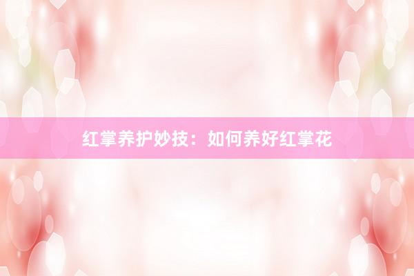红掌养护妙技:如何养好红掌花
